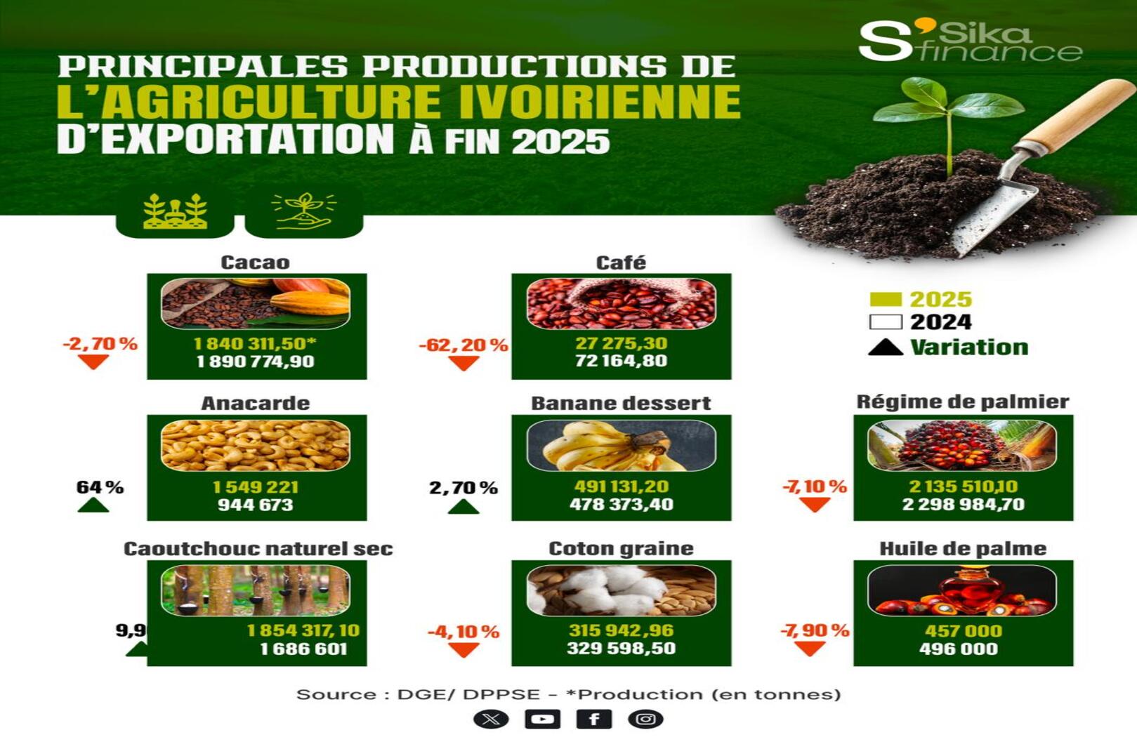 Côte d’Ivoire’s agricultural exports hit record earnings in 2025 despite mixed production trends